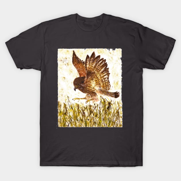 Aww... Kestrel Manoeuvres in the Park T-Shirt by jellygnomes